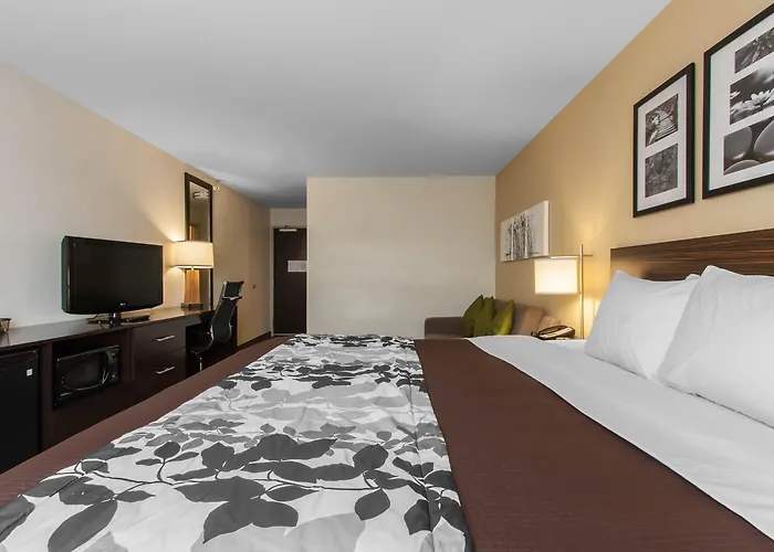 Sleep & Medical Center 4* Fargo